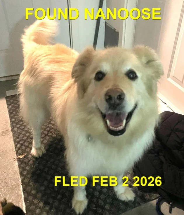 HAPPY ENDINGS - NANOOSE BAY BC. / FEB. 2, 2026