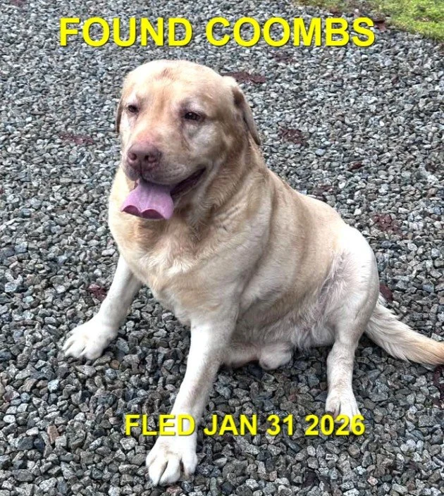 HAPPY ENDINGS - COOMBS BC. / JAN. 31, 2026