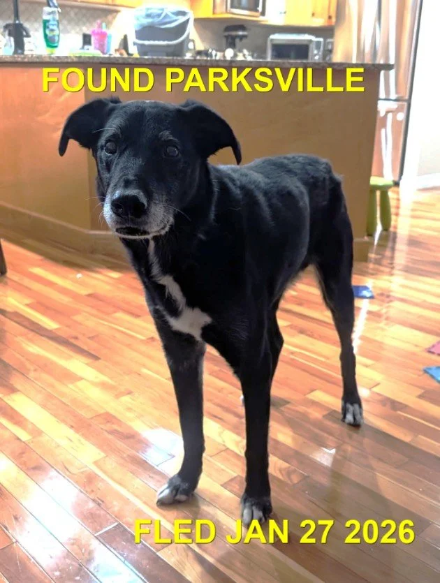 HAPPY ENDINGS - PARKSVILLE BC. / KONAS /JAN. 27, 2026