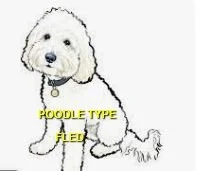 OVER THE RAINBOW BRIDGE - NANAIMO BC. / JAN. 30, 2026