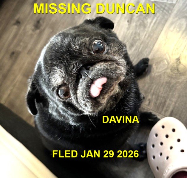HAPPY ENDINGS - DUNCAN BC. / DAVINA / JAN. 29, 2026