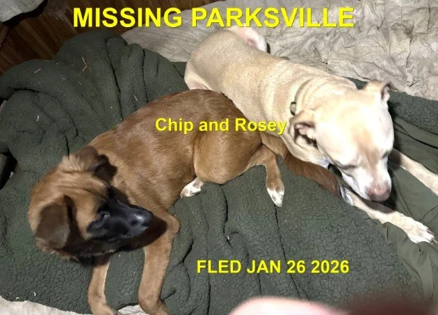 HAPPY ENDINGS - PARKSVILLE BC. / CHIP &amp; ROSEY / JAN. 26, 2026