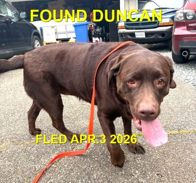 HAPPY ENDINGS - DUNCAN BC. / APRIL 3, 2026