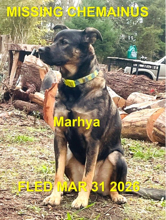 HAPPY ENDINGS - CHEMAINUS BC. / MARHYA / MARCH 30, 2026