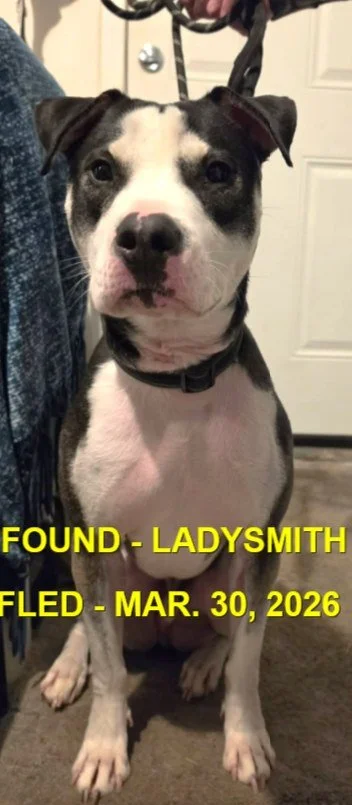 HAPPY ENDINGS - LADYSMITH BC. / ED / MARCH 30, 2026