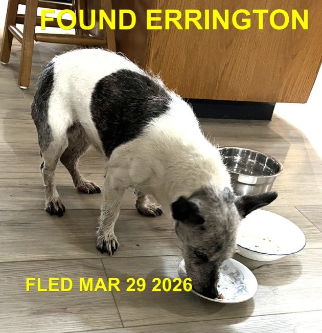 HAPPY ENDINGS - ERRINGTON BC. / MARCH 29, 2026