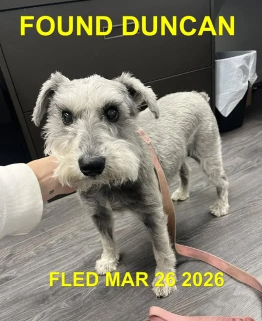 HAPPY ENDINGS - DUNCAN BC. / MARCH 26, 2026