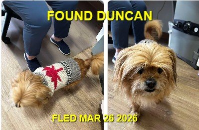HAPPY ENDINGS - DUNCAN BC. / MARCH 26, 2026