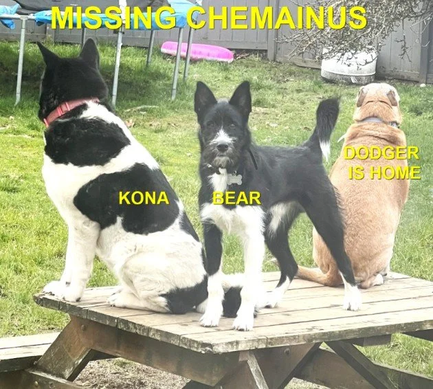 HAPPY ENDINGS - CHEMAINUS / KONA, BEAR, DODGER / MARCH 26, 2026