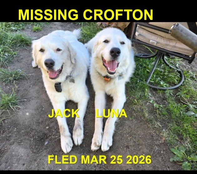 HAPPY ENDINGS - CROFTON BC. / JACK, LUNA / MARCH 25, 2026