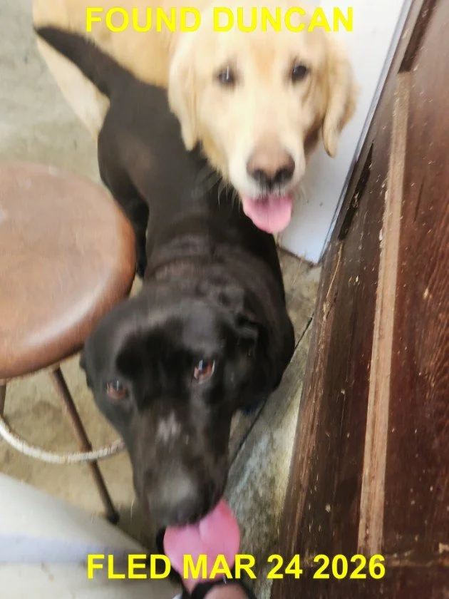 HAPPY ENDINGS - DUNCAN BC. / MARCH 24, 2026