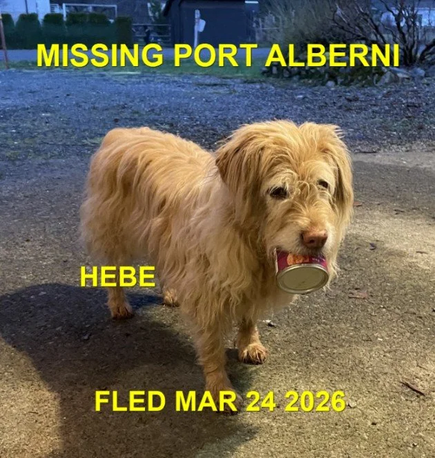 HAPPY ENDINGS - PORT ALBERNI BC. / HEBE / MARCH 23, 2026