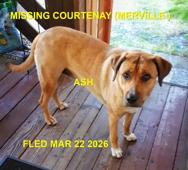 HAPPY ENDINGS - COURTENAY BC. / ASHLEY / MARCH 21, 2026