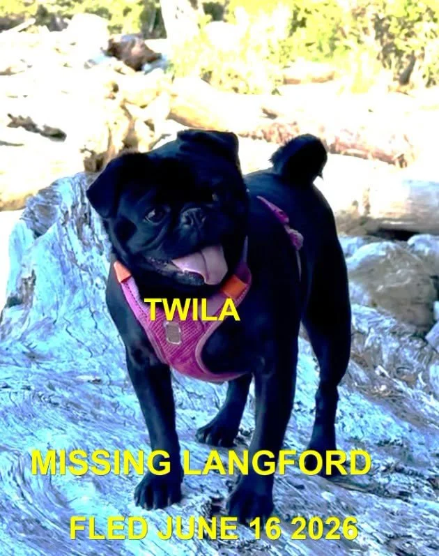 HAPPY ENDINGS - LANGFORD BC / TWILA / JUNE 16, 2026