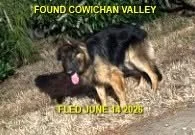 HAPPY ENDINGS - COWICHAN BC. / JUNE 14, 2026