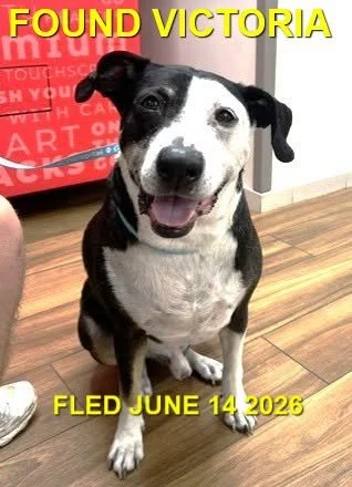 HAPPY ENDINGS - VICTORIA BC. / JUNE 14, 2026