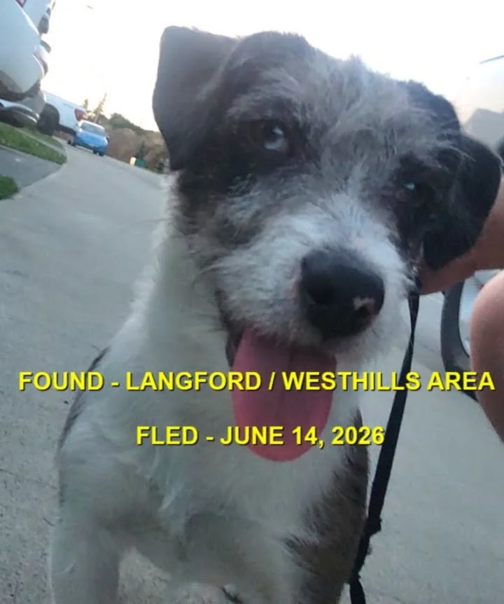 HAPPY ENDINGS - LANGFORD / BC - JUNE 14, 2026