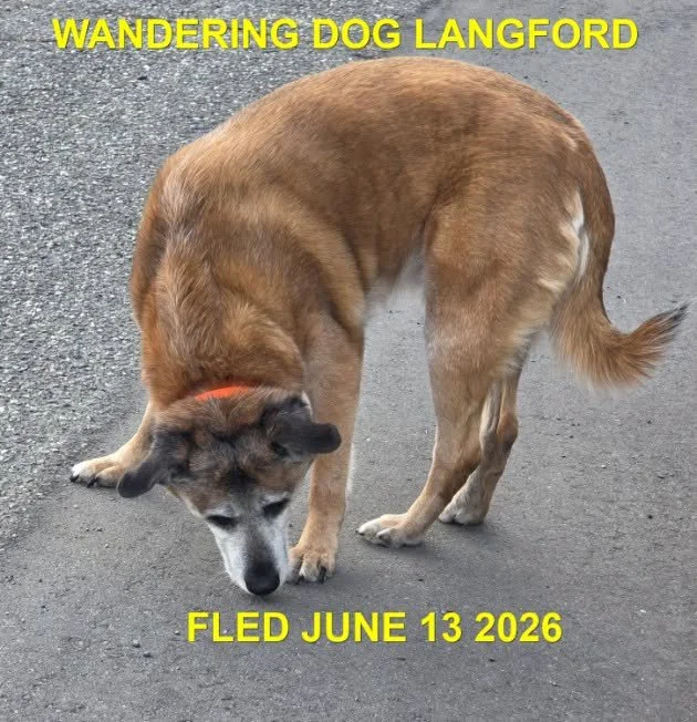 HAPPY ENDINGS - LANGFORD BC. / JUNE 13, 2026