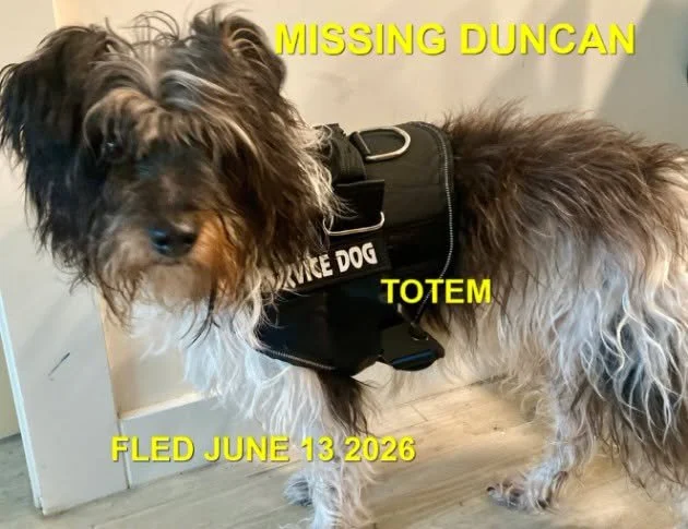 HAPPY ENDINGS - DUNCAN BC. / TOTEM / JUNE 13, 2026