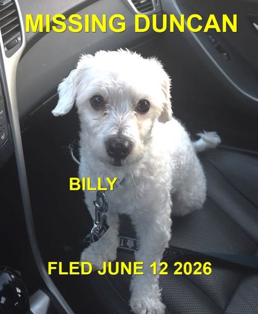 HAPPY ENDINGS - DUNCAN BC. / BILLY / JUNE 12, 2026