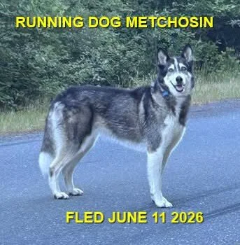 HAPPY ENDINGS - METCHOSIN BC. / JUNE 11, 2026