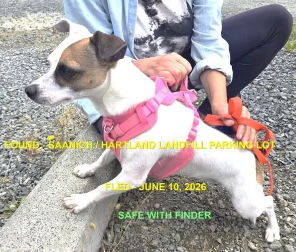 HAPPY ENDINGS - SAANICH BC. / JUNE 10, 2026