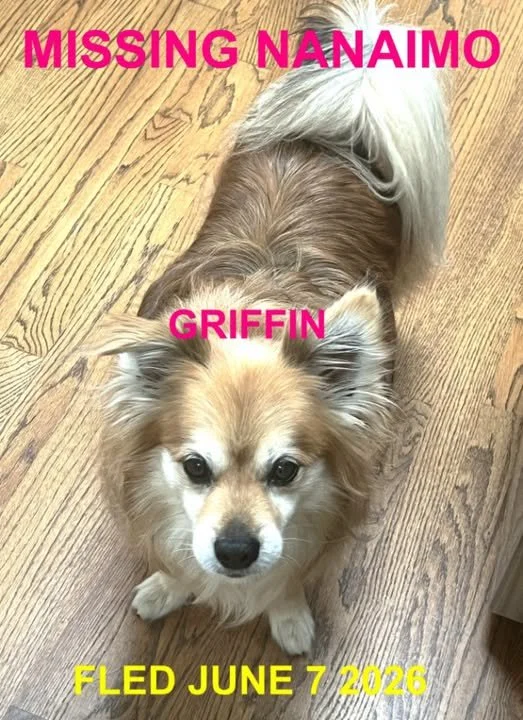 HAPPY ENDINGS - NANAIMO BC. / GRIFFIN / JUNE 7, 2026