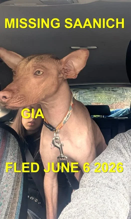 HAPPY ENDINGS - SAANICH BC. / GIA / JUNE 6, 2026