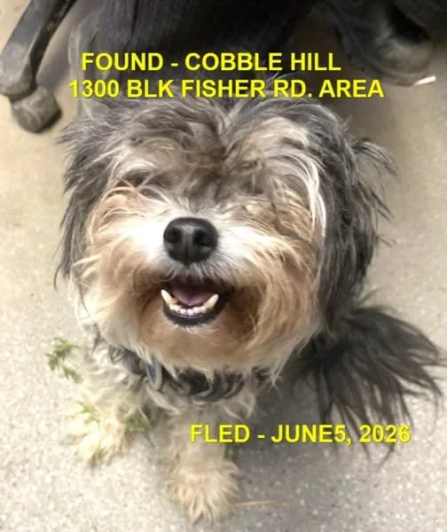 HAPPY ENDINGS - COBBLE HILL BC. / JUNE 5, 2026