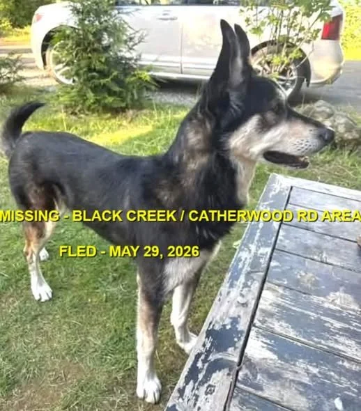HAPPY ENDINGS - BLACK CREEK BC. / T'SPA / MAY 27, 2026
