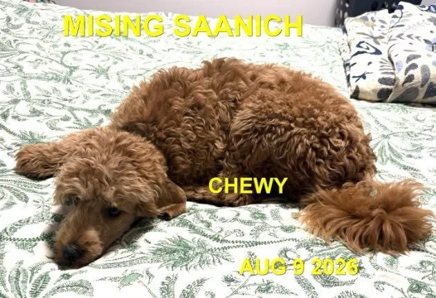 HAPPY ENDINGS - SAANICH BC. / CHEWY / AUG. 8, 2026