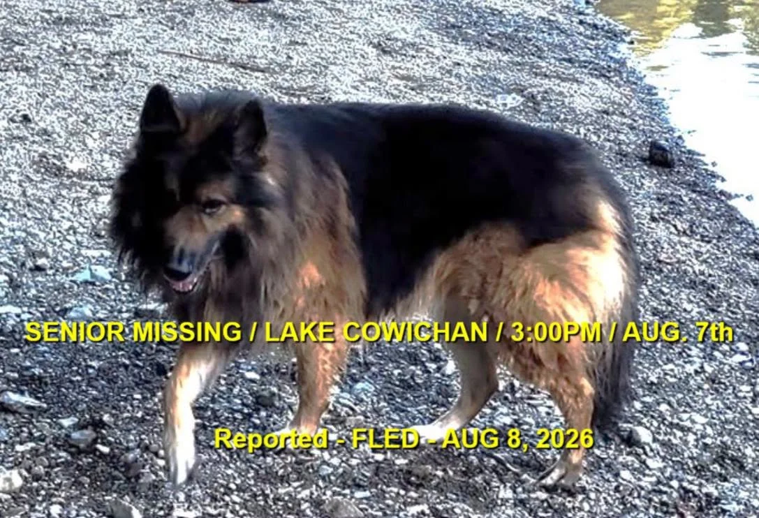 HAPPY ENDINGS - LAKE COWICHAN BC. / KIKI  / AUG. 7, 2026