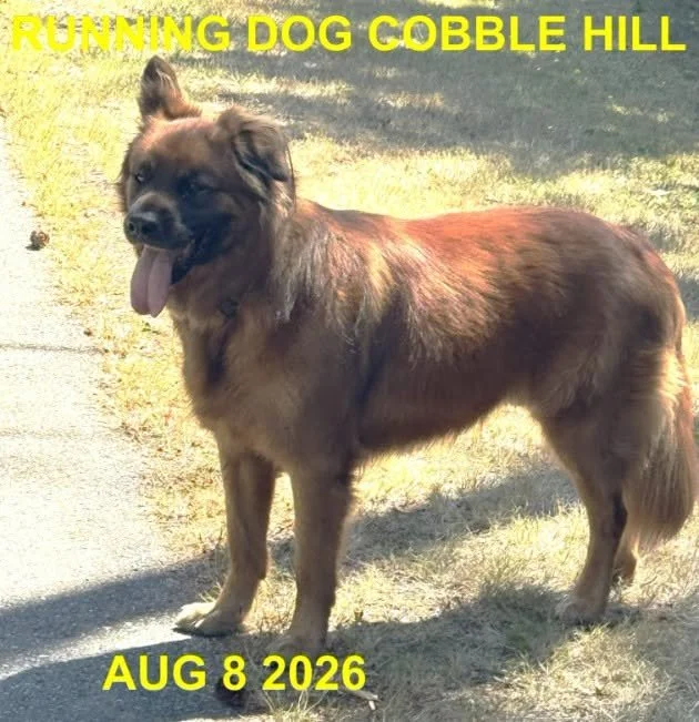 HAPPY ENDINGS -COBBLE HILL BC. / AUG. 8, 2026
