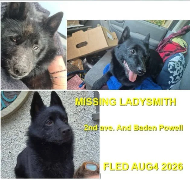 HAPPY ENDINGS - LADYSMITH BC. / AUG. 4, 2026