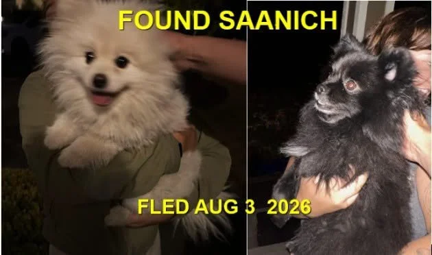 HAPPY ENDINGS - SAANICH BC. / AUG. 3, 2026