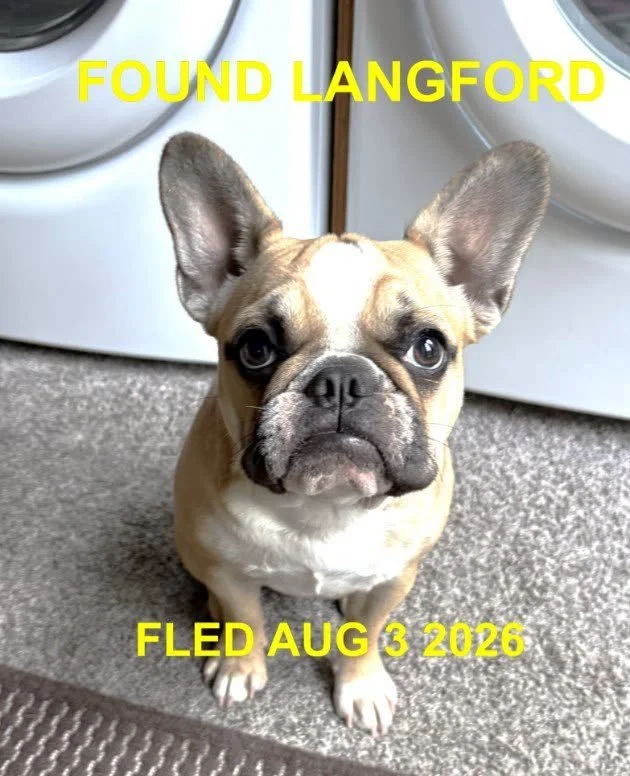 HAPPY ENDINGS - LANGFORD BC. / AUG. 3, 2026