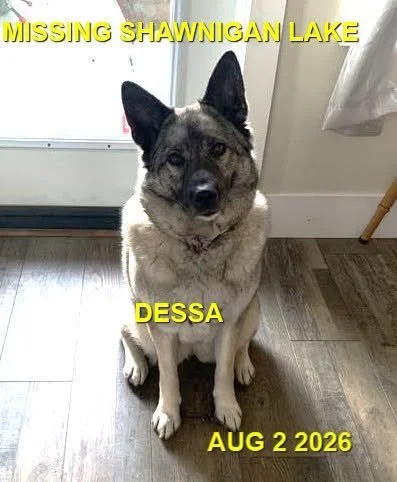 HAPPY ENDINGS - SHAWNIGAN LAKE BC. / DESSA / AUG. 1, 2026