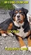OVER THE RAINBOW BRIDGE - DUNCAN BC. / COOPER / JULY 31, 2026