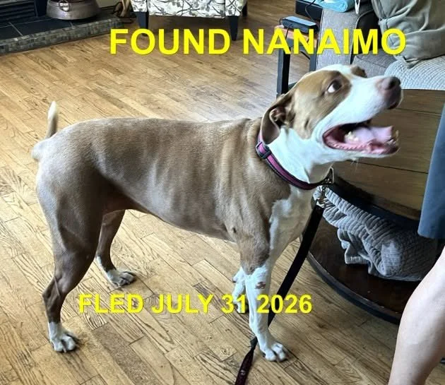 HAPPY ENDINGS - NANAIMO BC. / JULY 31, 2026