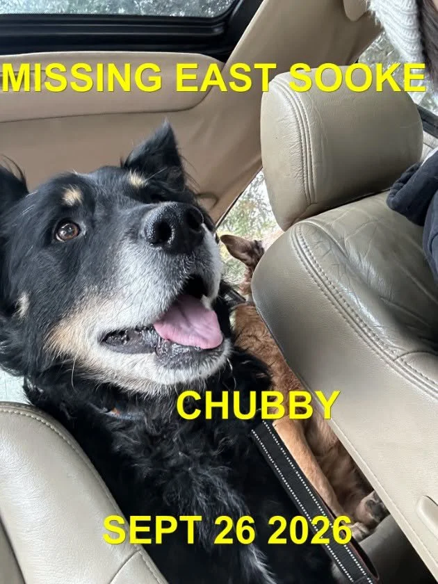 HAPPY ENDINGS - EAST SOOKE BC. / CHUBBY / SEPT. 26, 2026
