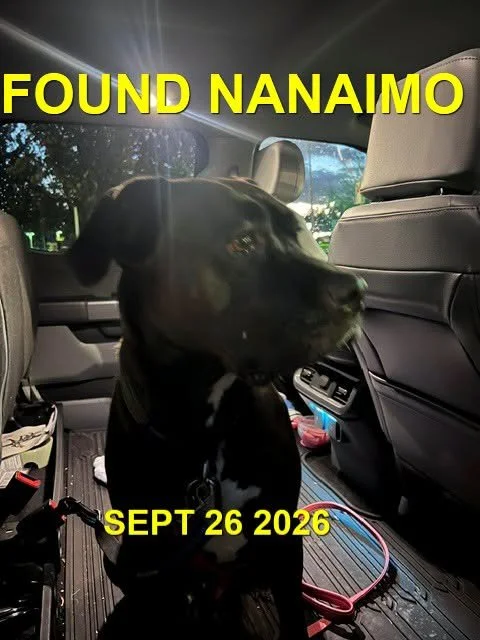 HAPPY ENDINGS - NANAIMO BC. / SEPT. 25, 2026