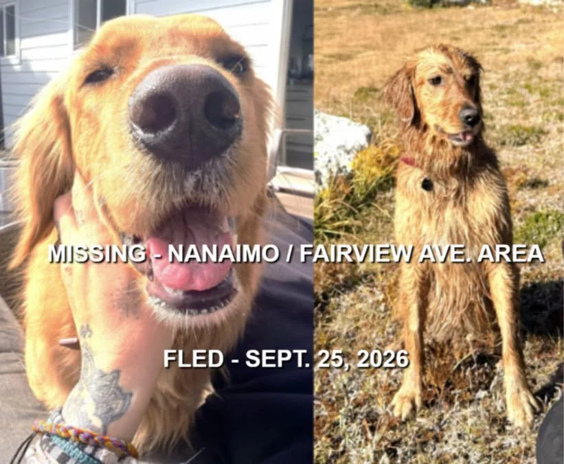 HAPPY ENDINGS - NANAIMO BC. / BRINLEY / SEPT 25, 2026
