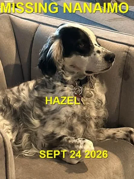 OVER THE RAINBOW BRIDGE - NANAIMO BC. / HAZEL / SEPT 23, 2026