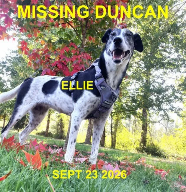 HAPPY ENDINGS - DUNCAN BC. / ELLIE / SEPT. 23, 2026