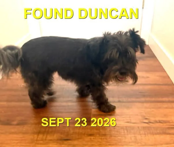 HAPPY ENDINGS - DUNCAN BC. / SEPT 23, 2026