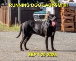 HAPPY ENDINGS - LADYSMITH BC. / SEPT 20, 2026