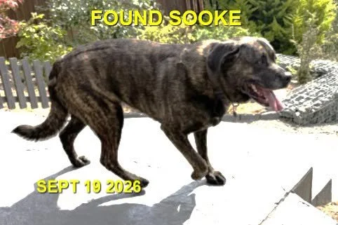 HAPPY ENDINGS - SOOKE BC. / MIKA