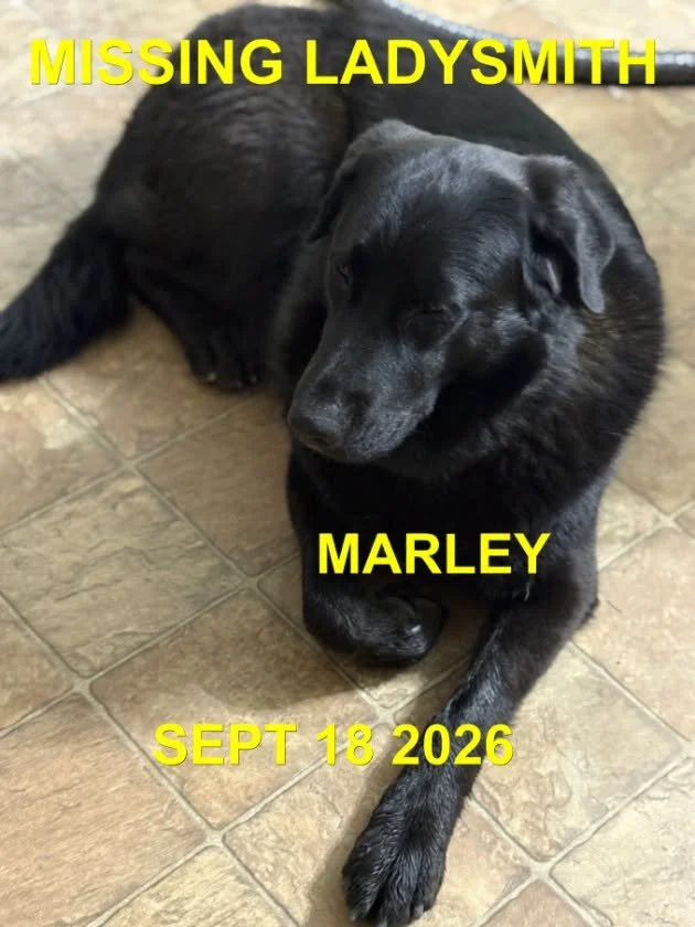 HAPPY ENDINGS - LADYSMITH BC. / MARLEY / SEPT. 18, 2026