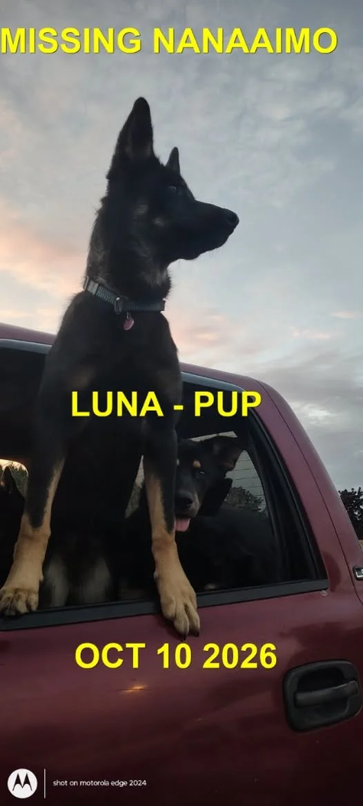 OVER THE RAINBOW BRIDGE - NANAIMO BC. / LUNA &amp; MATTE / OCT. 11, 2026