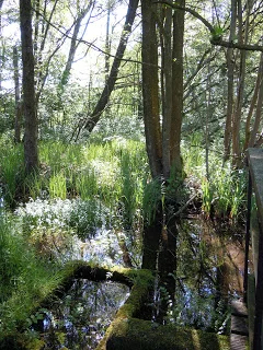 DSCN0540.JPG